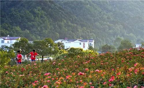 国产三级 第3页